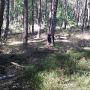 Verstoppertje spelen #cs