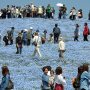 【ひたち海浜公園2017】この景色が410円で拝めるとかさすが国営の公園は違うなｗ 