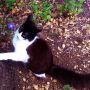 Springtime for Schrödinger. 
