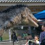 【佐野スプリングフェスティバル】接近遭遇 ちゃんと躾られてるので安全ですし ((((；ﾟДﾟ))))ｶﾞｸｶﾞｸﾌﾞﾙﾌﾞﾙ