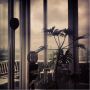 Happy gloomy Sunday!