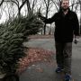 Je brengt je kerstboom en..