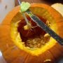 There was a pumpkin growing in my pumpkin. 