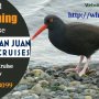 Bird Watching Cruises - Book Your Trip