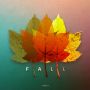 ‘Fall’

I actually didn’t think this wouldn’t work on my iPhone.
One Photo a Day Project #360
.
