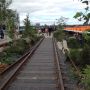 Nieuw. H. Line. 