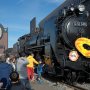 【真岡鐵道SLフェスタ】栃木県は真岡市にやってきたD51さん 展示場所はキューロク館の西側のスペースになったようだ
