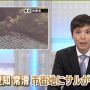 常滑で猿とな