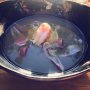 Asian broth with langoustine, ravioli and soy beans at Huis Roodenburch 
#aboutlastnight #food #broth #reflections