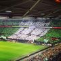 Sfeeractie 
#feyrij 
#groenwit