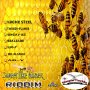 VARIOUS ARTISTS - SWEET LIKE HONEY RIDDIM #ITUNES 6/17/16 @simpleyouthrec