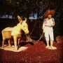 Juan Pablo & Nacho Donkey

Apparently these lawn sculptures were left behind by the previous owner of my sister's new house.

#juanpablo #nachodonkey