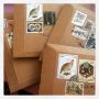 Nieuwe lading #DIY #1 (raw cut) dvd's op de post.. (yea!)
