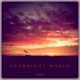 “Goodnight World”

A beautiful Amsterdam sunset. 
One Photo a Day Project #089
.