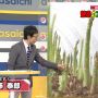 たいろーさんおひさしぶりです
