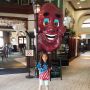 California Raisin