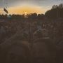 Sundown at #PP15 
#whosthebiggerfool ✌️