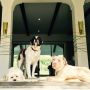 Our pack 