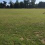 All ready for 1st parkrun 
