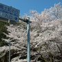 今回は茨城県石岡市の常陸 風土記の丘に行ってｷﾀ━━ヽ(ﾟ∀ﾟ )ﾉ━━!! 