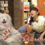 暇事務所。 #etv