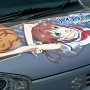【艦艇公開 in 大洗2016】横須賀からの刺客『はいふり』公式痛車もｷﾀ━━ヽ(ﾟ∀ﾟ )ﾉ━━!! 