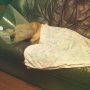 当然ちゃー当然なんだけど、いつもより元気なくて、心配だけど、今日の検査も大丈夫で退院出来て良かった。あとは抜糸と再検査の結果だね。元気で長生きしておくれよ(；ω；)