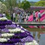 【あしかがフラワーパーク2017】水上花壇 相変わらず手摺のない狭い通路だｗ 落っこちる人いないん？ｗ 
