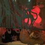 Stille Nacht... Ollie and Angus at peace. 