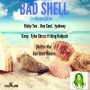 VARIOUS ARTISTS - BAD SHELL RIDDIM #ITUNES 8/11/17 