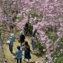【常陸 風土記の丘】なかなかお客さんがイメージ通りの所を歩いてくれない...ｗ ぐぬぬ...(； ･`д･´) 