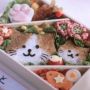 じゃらんのにゃらんのお弁当を一時停止してみた。可愛いー！すごーい！！