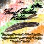 VARIOUS ARTIST - FOWL FEATHER RIDDIM #ITUNES 6/17/14 @Bighouse_posted