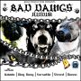 BAD DAWGS RIDDIM - DING DONG, KALADO, VERSATILE & MORE #ITUNES 5/20/14 @BenaDiSenior @thedingdong
