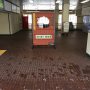 また来た