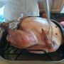 Hello turkey! #thanksgiving
