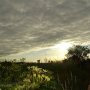 Vandaag #Friesland #fietsen ,maar....#natuur #zon #bewolking #regen Vanmorgen vroeg onder deken weg even genieten van de zon, maar nee er kwam een nieuwe deken aan.   #buienradar