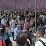【あしかがフラワーパーク2017】人口密度やべぇｗｗｗｗｗｗｗ 