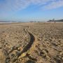 Vanaf vandaag is parkeren naast het strand gratis. #danweetjedat #scheveningen