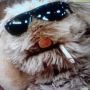 @rebelarjen but ofcourse... Mr. Floppy....! #unhappilyeverafter 