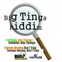 VARIOUS ARTISTS - BIG TINGS RIDDIM #ITUNES 7/29/16 @HILLSMUSIC876 @TrailusoneHills 