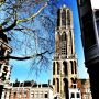 Kijk hem weer staan shinen! #Utrecht 