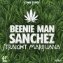 BEENIE MAN & SANCHEZ - STRAIGHT MARIJUANA - SINGLE #ITUNES 10/30/15 #PREORDER 10/16/15 @johnjohnawful @kingbeenieman